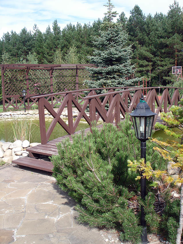 Обложка проекта: проект частного участка. Одинцовский район. д. Дунио