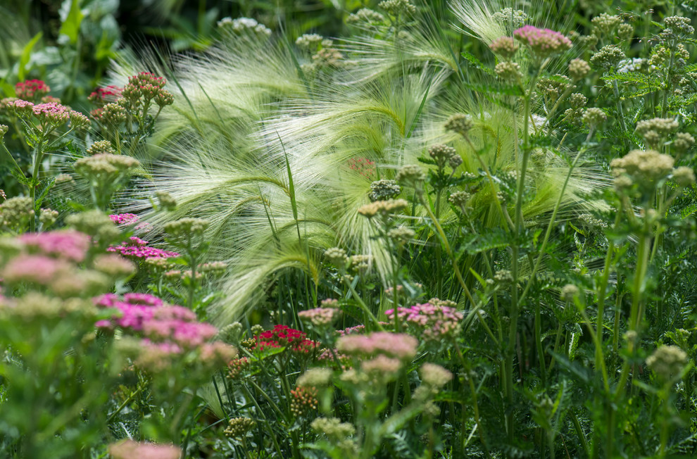 Цветник в  природном стиле  (" New Perennials"  или "Новая волна")