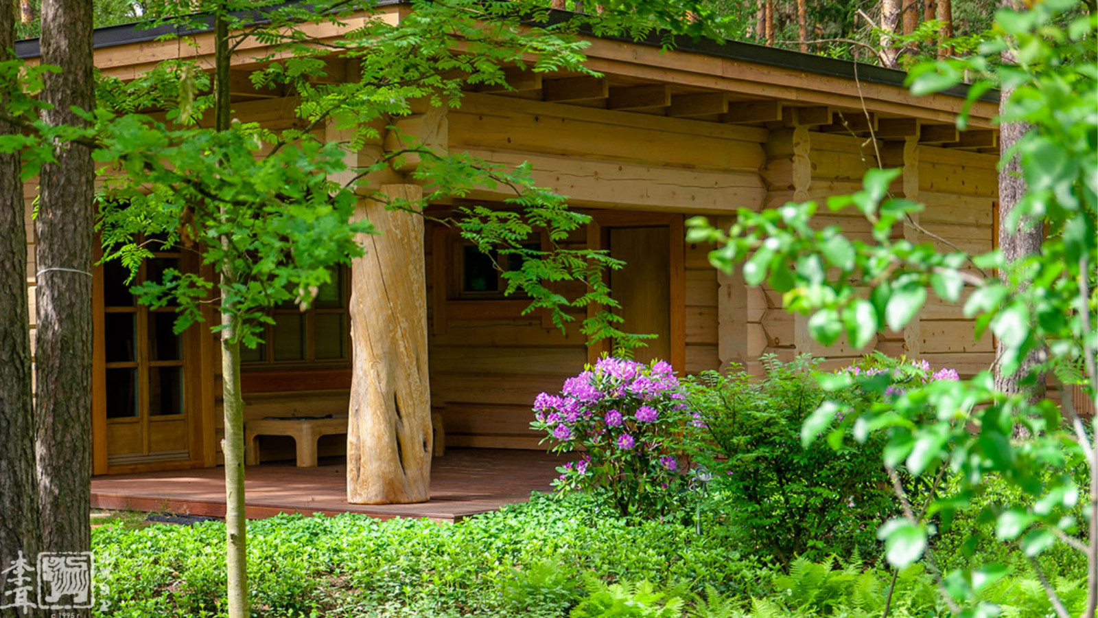 Ландшафтный дизайн лесного участка и кровли