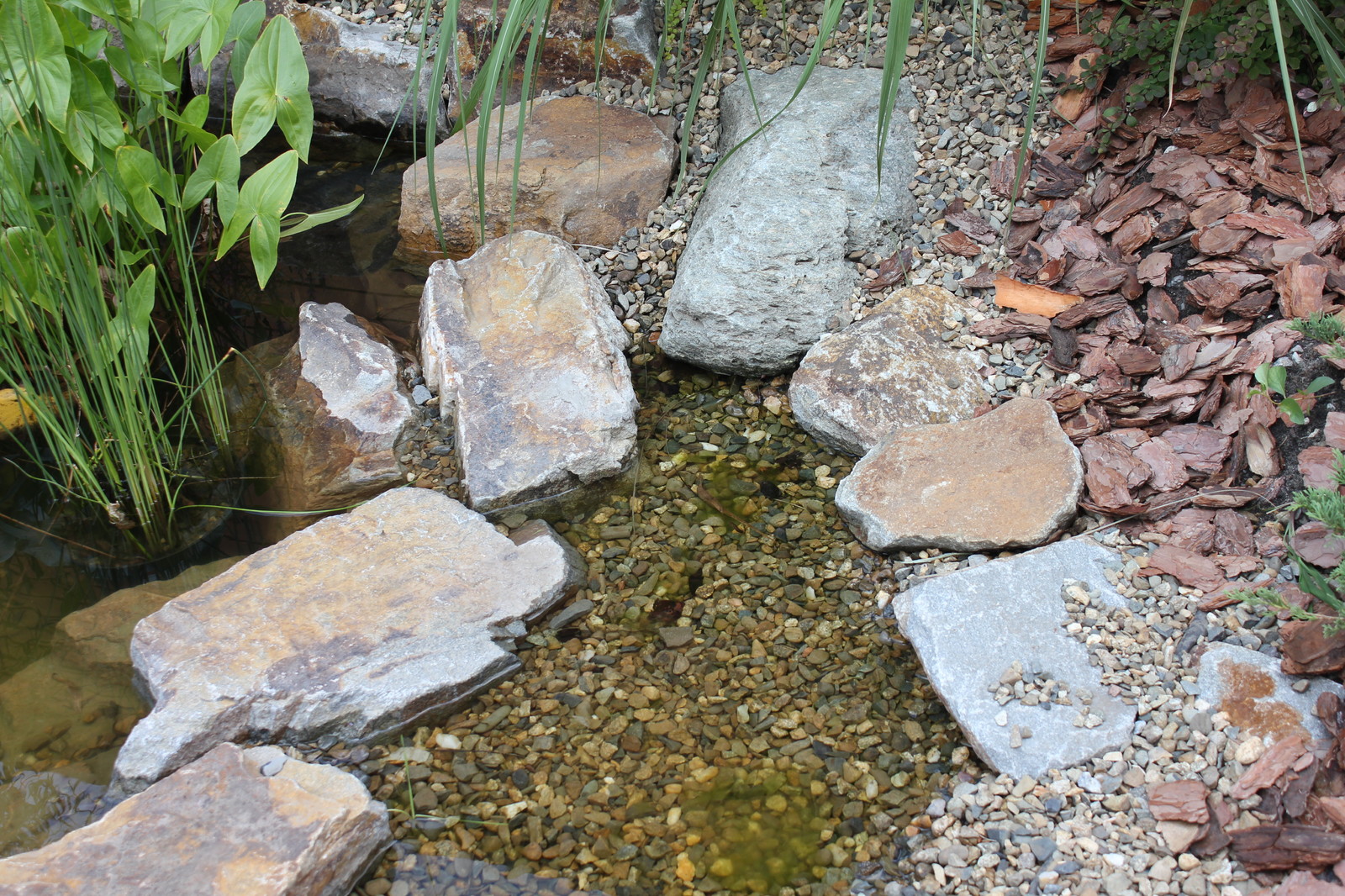 Елена Асалханова