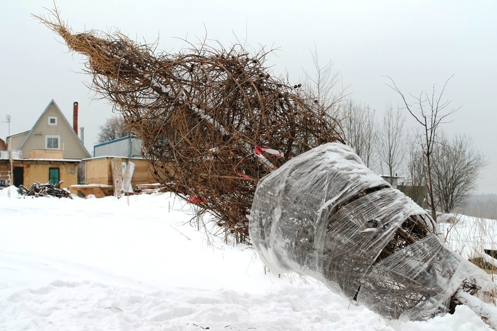 Обложка проекта: Крупномеры. Летом и зимой