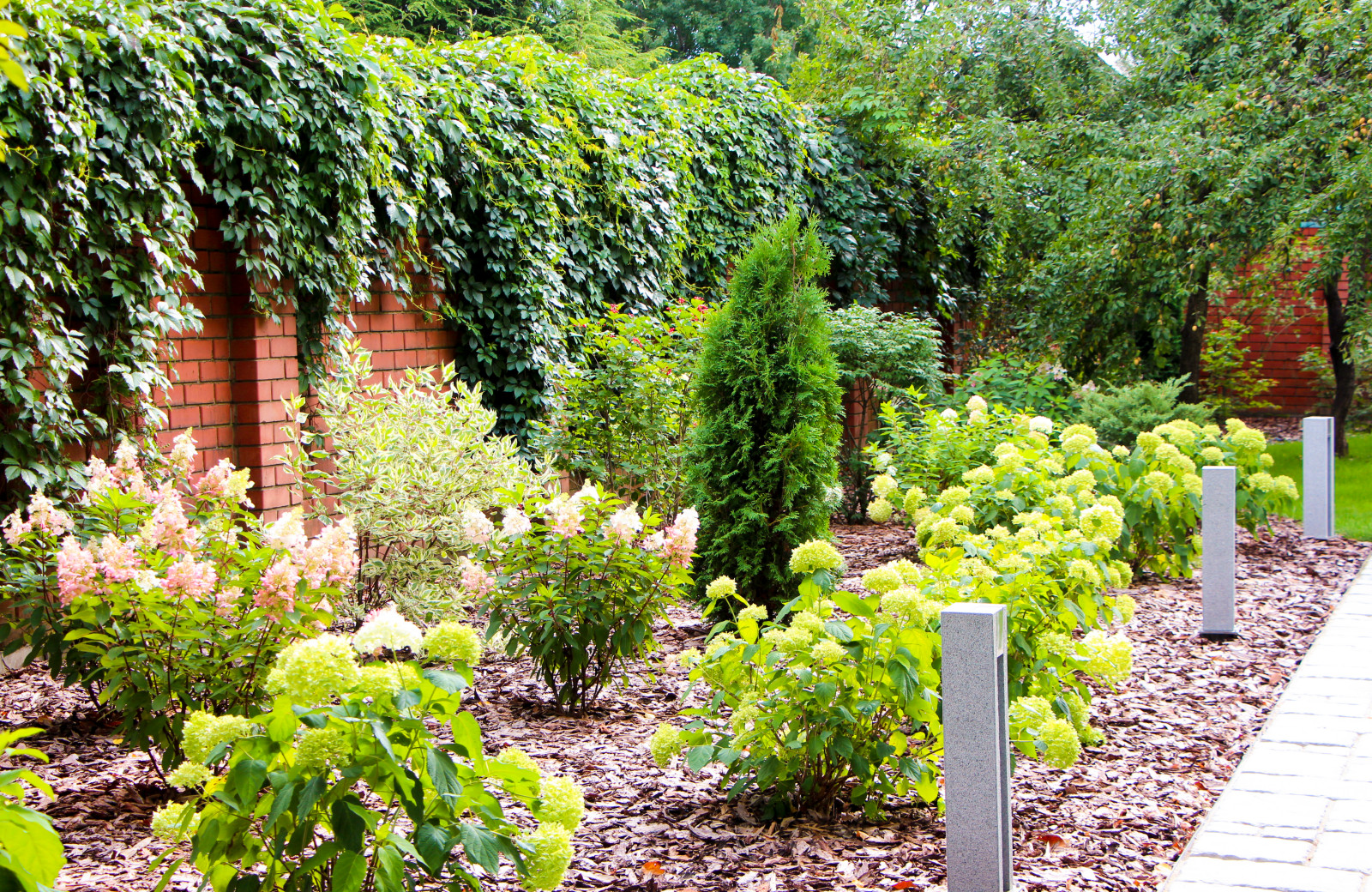 Долгопрудный, 2020 г.