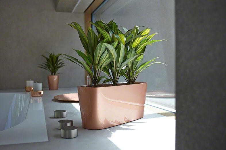 Шик на небольшой площади