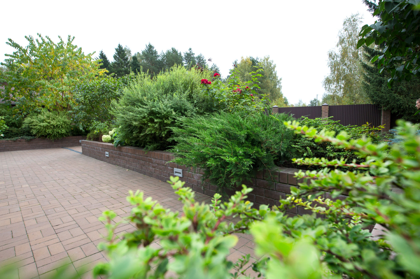 Обложка альбома: Сад для жизни