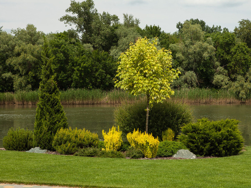 Частное домовладение