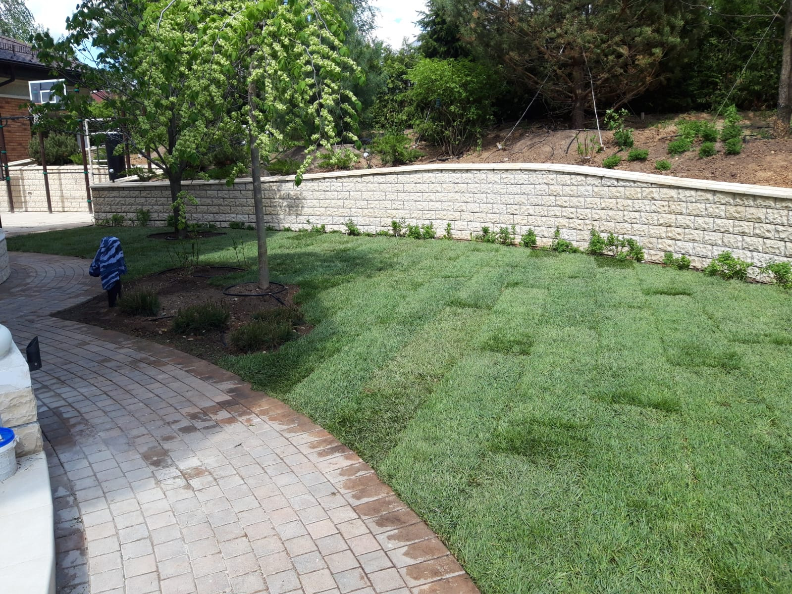 Обложка проекта: Landscape design of the territory (Moscow region, Montevil village)