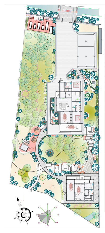 Сад в сосновом лесу