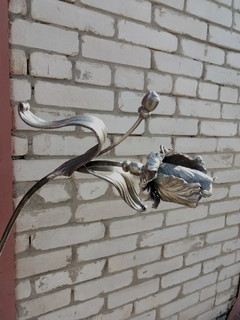 Антонина Швидская