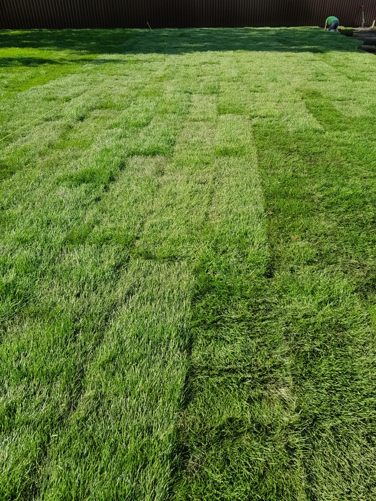 Рулонный газон Красноярск