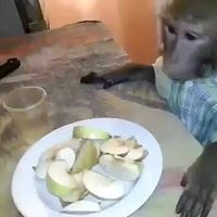 Екатерина Мансуровская