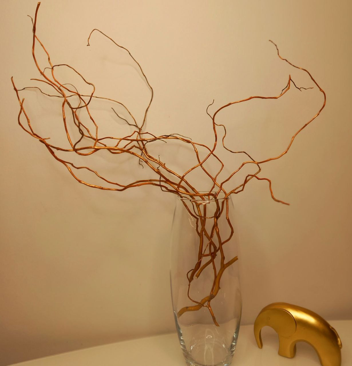 Обложка проекта: Весенняя коллекция 2024