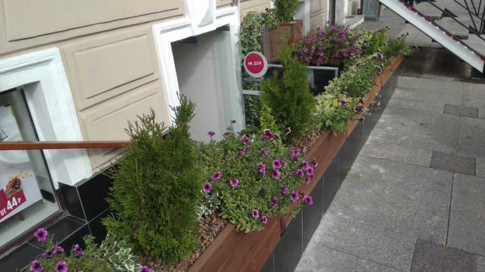 Озеленение входных групп