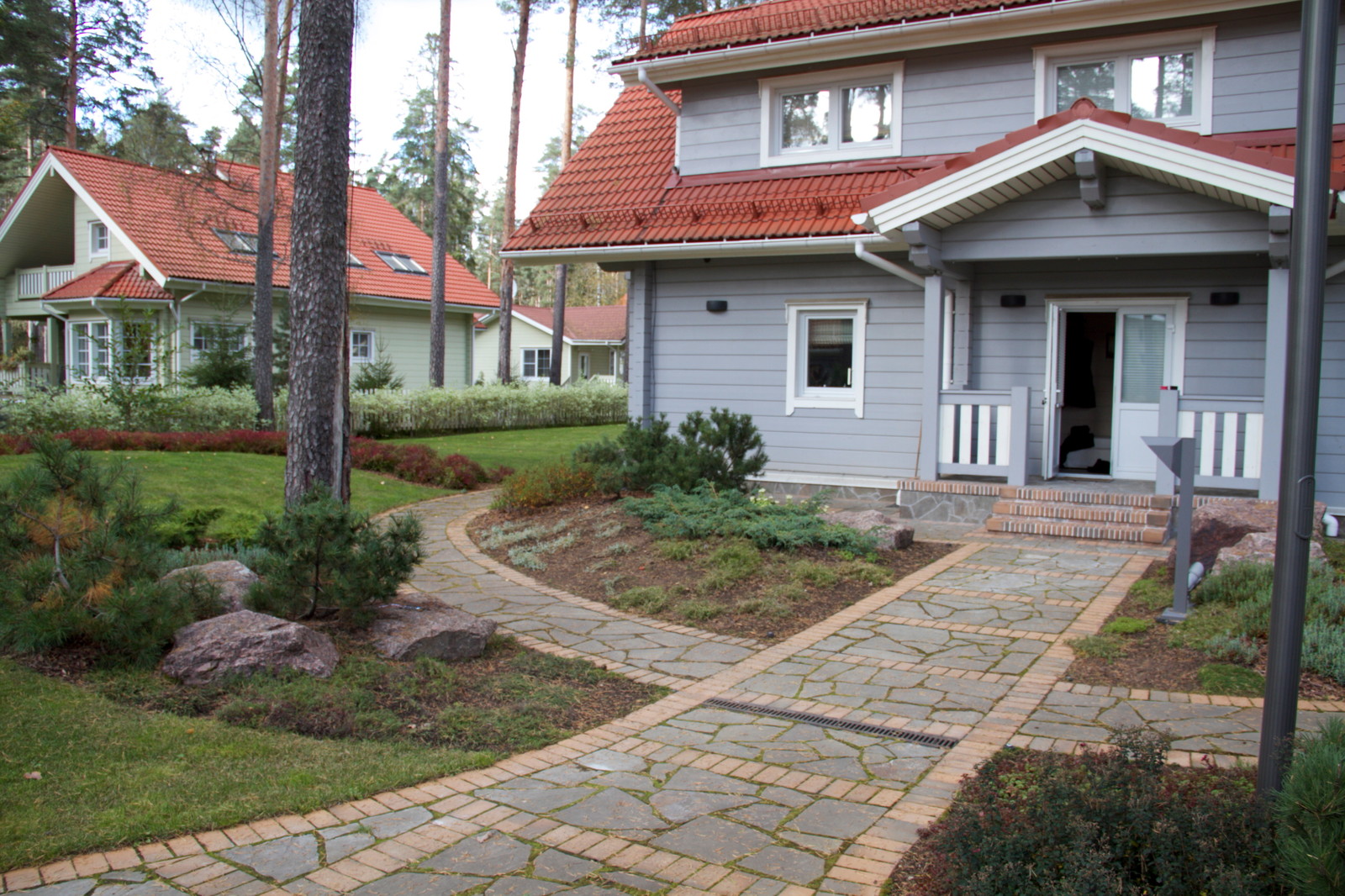 Корабельные сосны