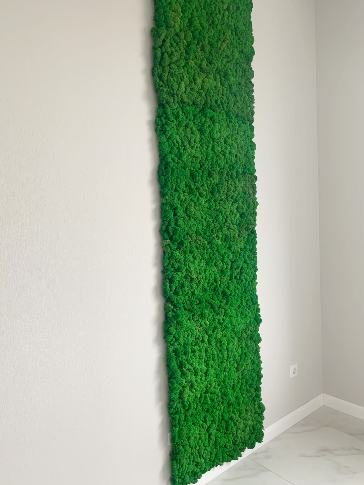 Обложка проекта: Мох в интерьере