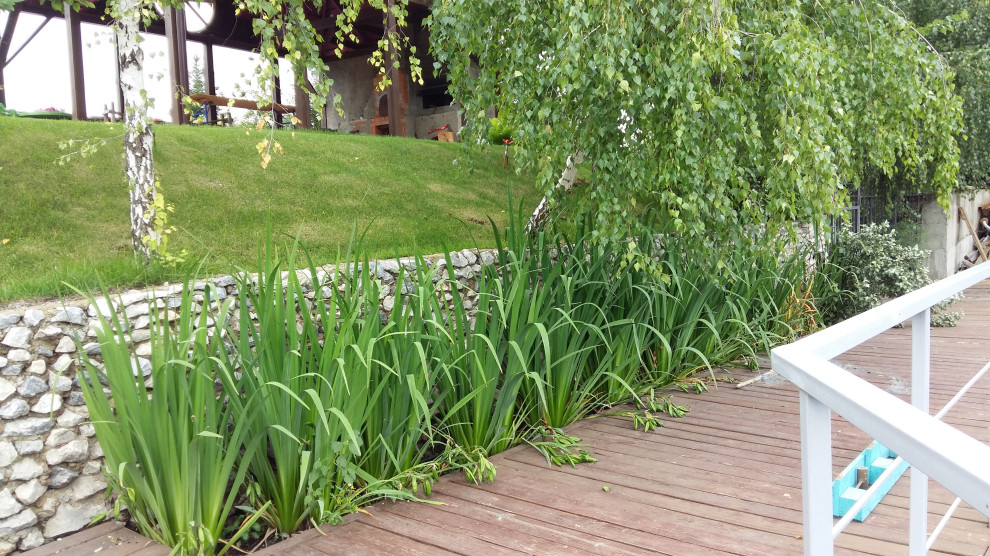 Уютный сад на берегу реки