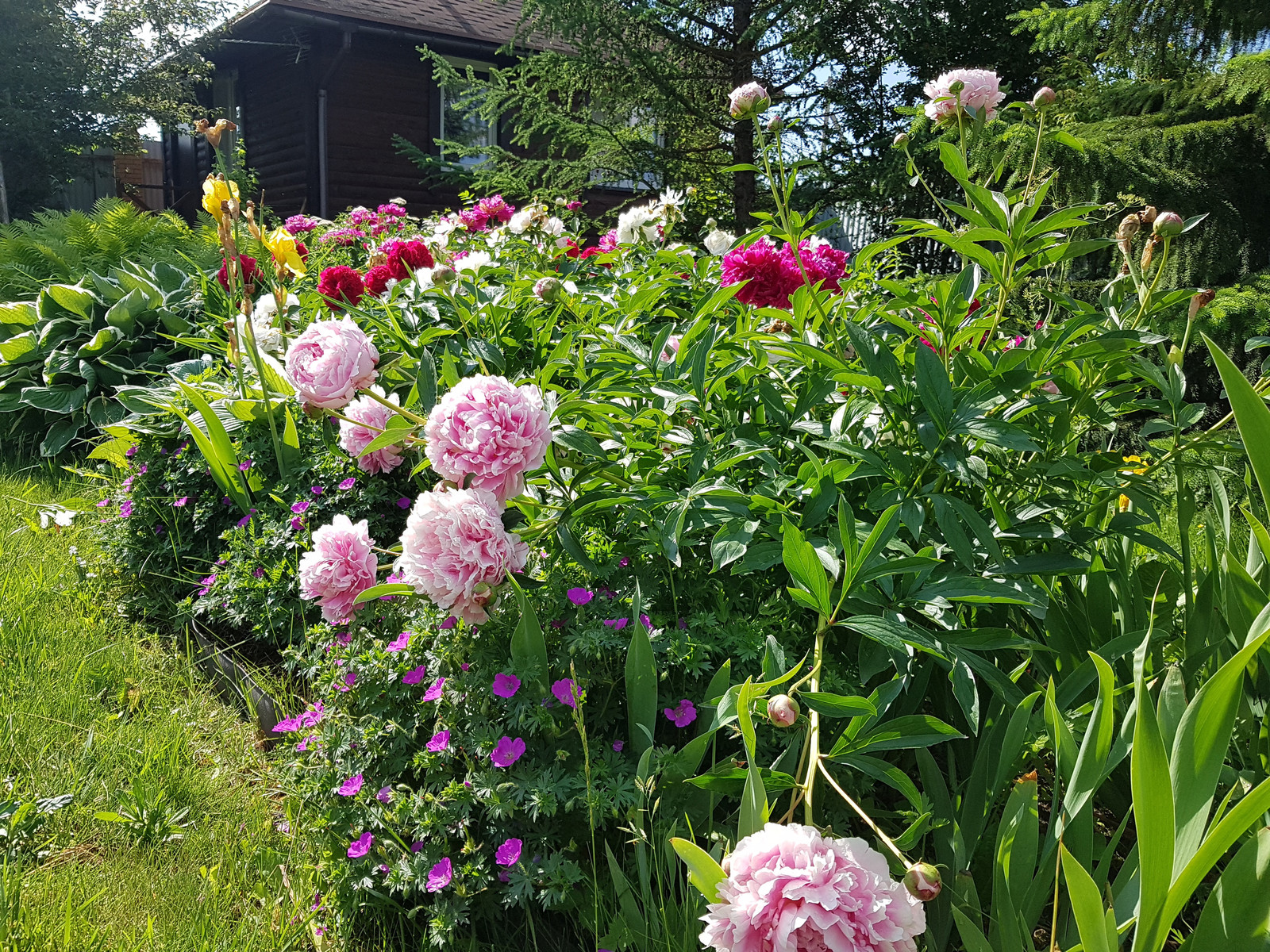 Косовка Калужское шоссе