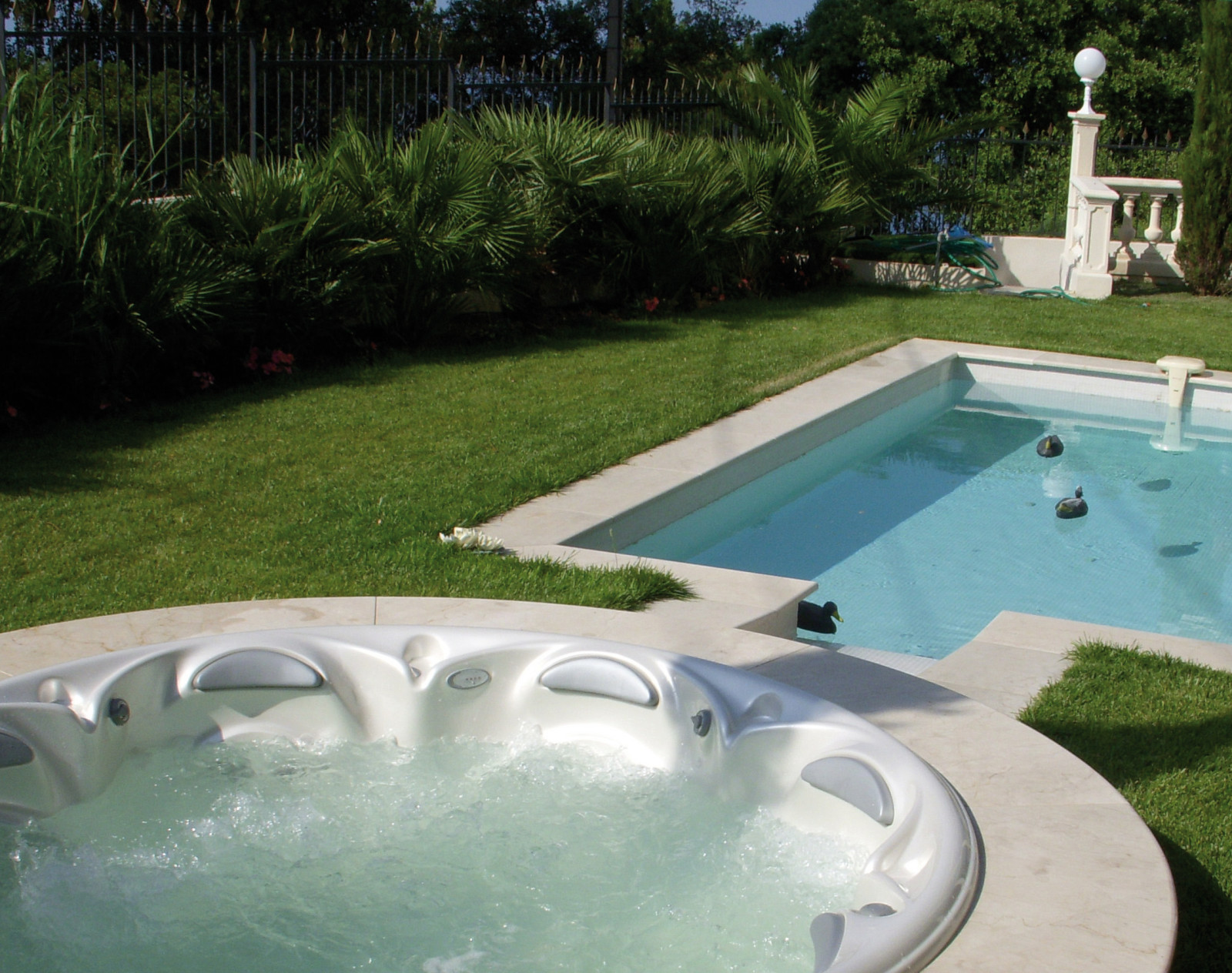 Ксения Чижикова