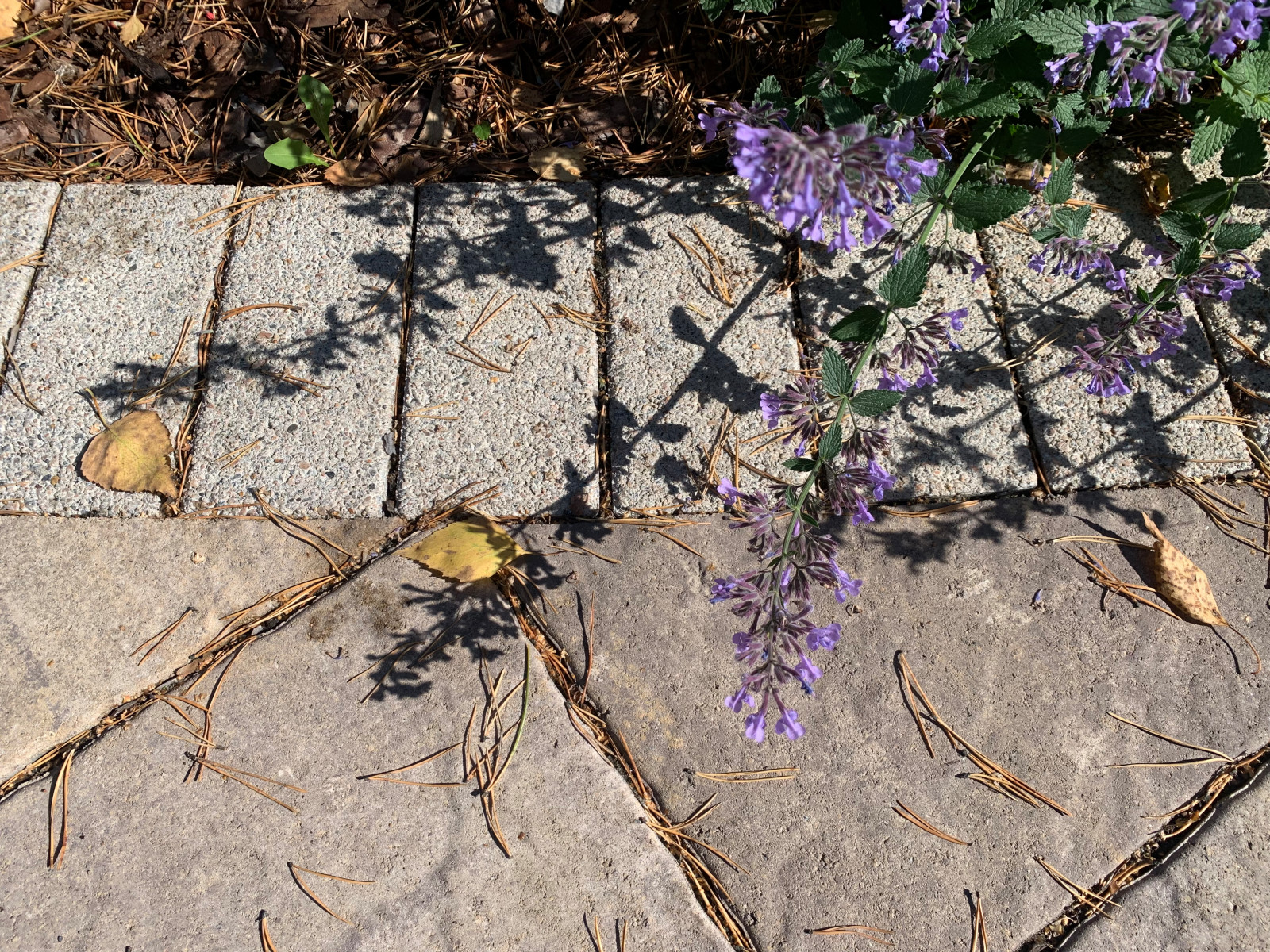 Таргайские усадьбы