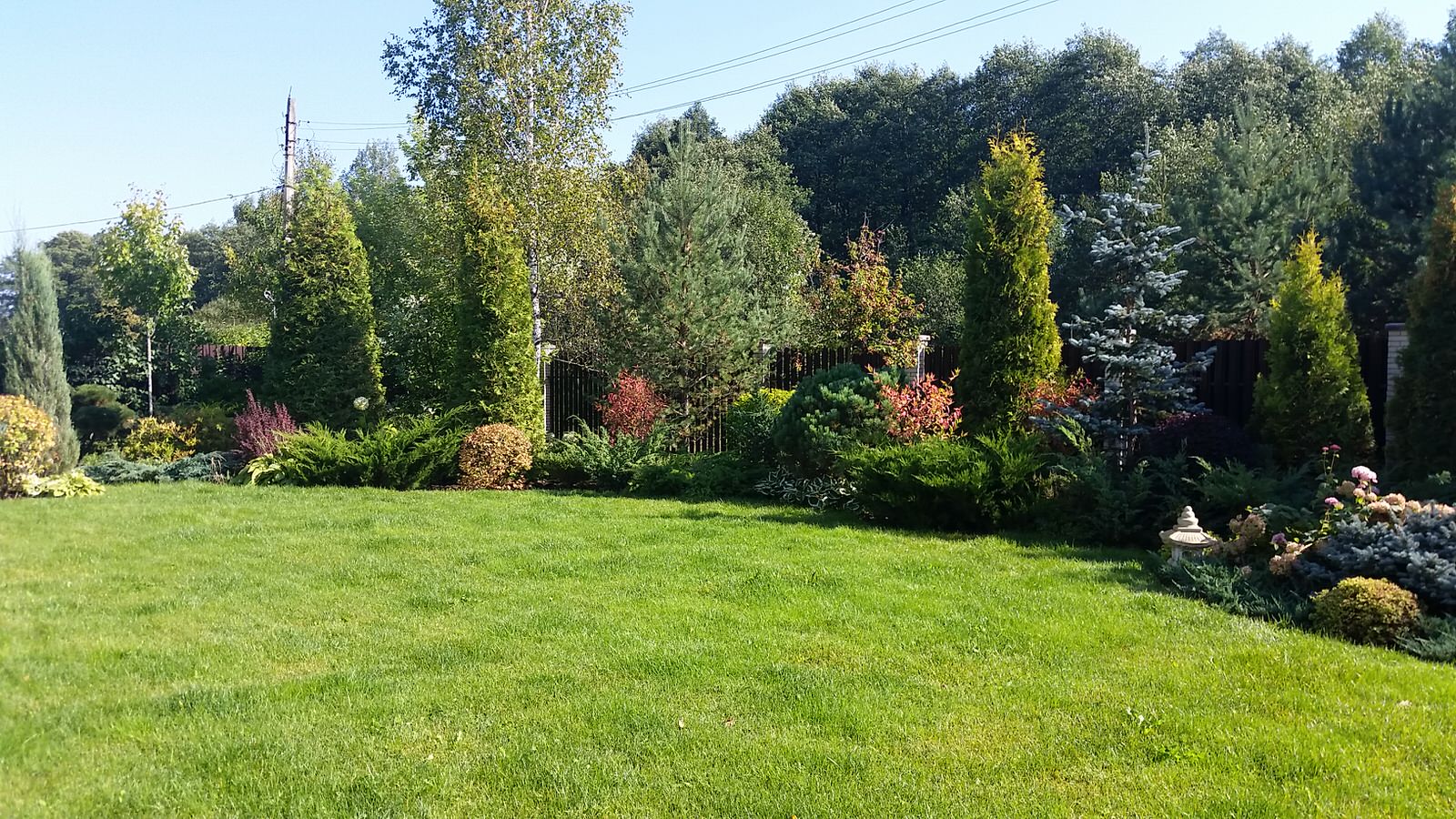 Обложка проекта: Ландшафтный проект 5