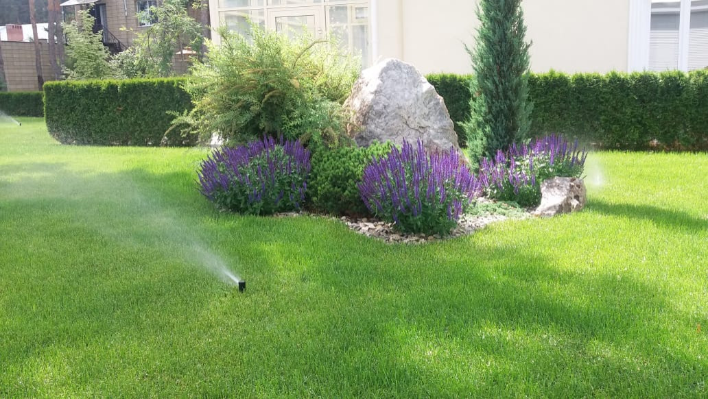 Обложка проекта: газон и полив