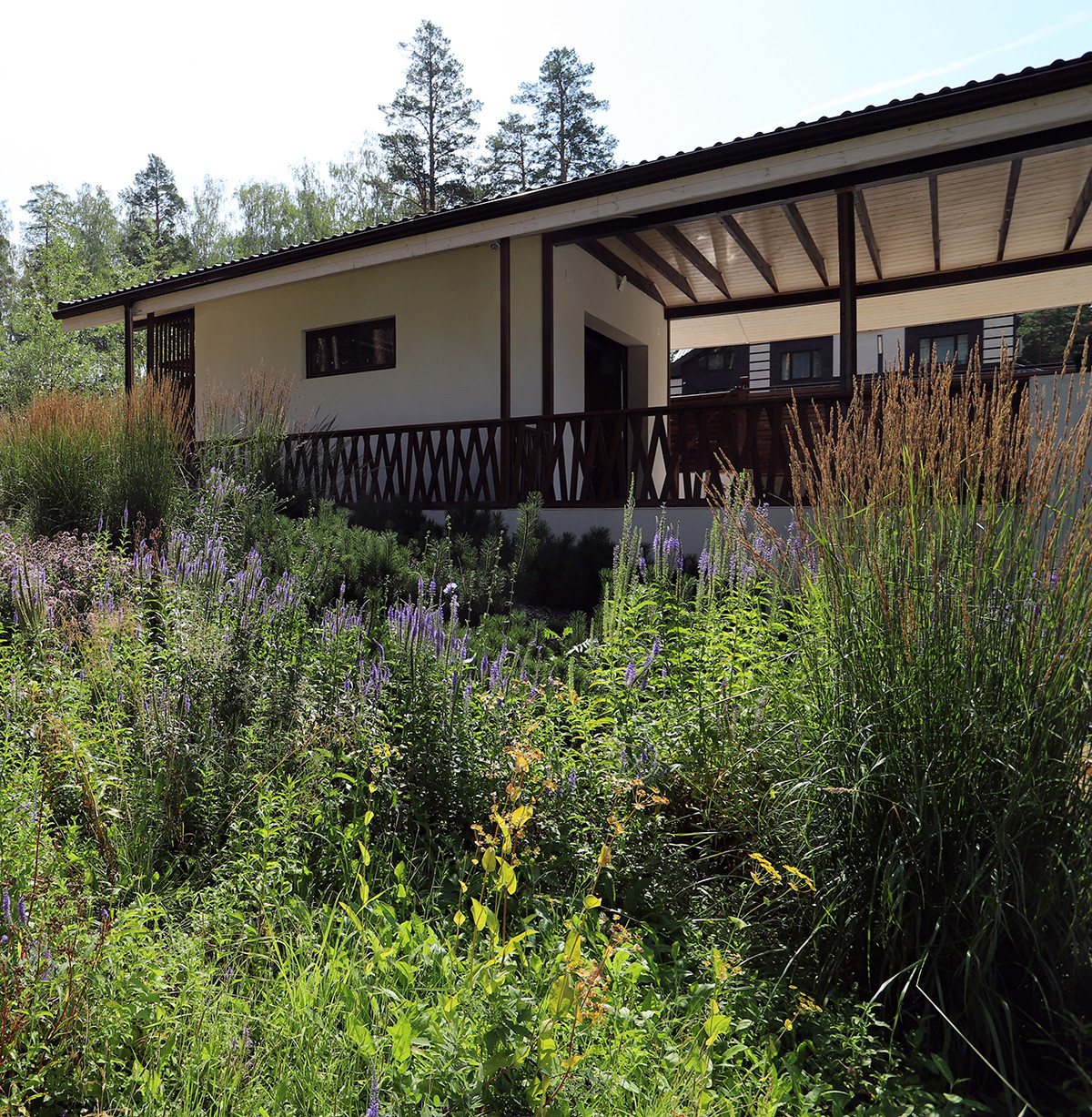 Лес и огород