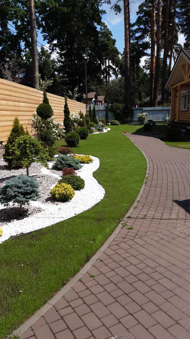 Проект Тригуляй