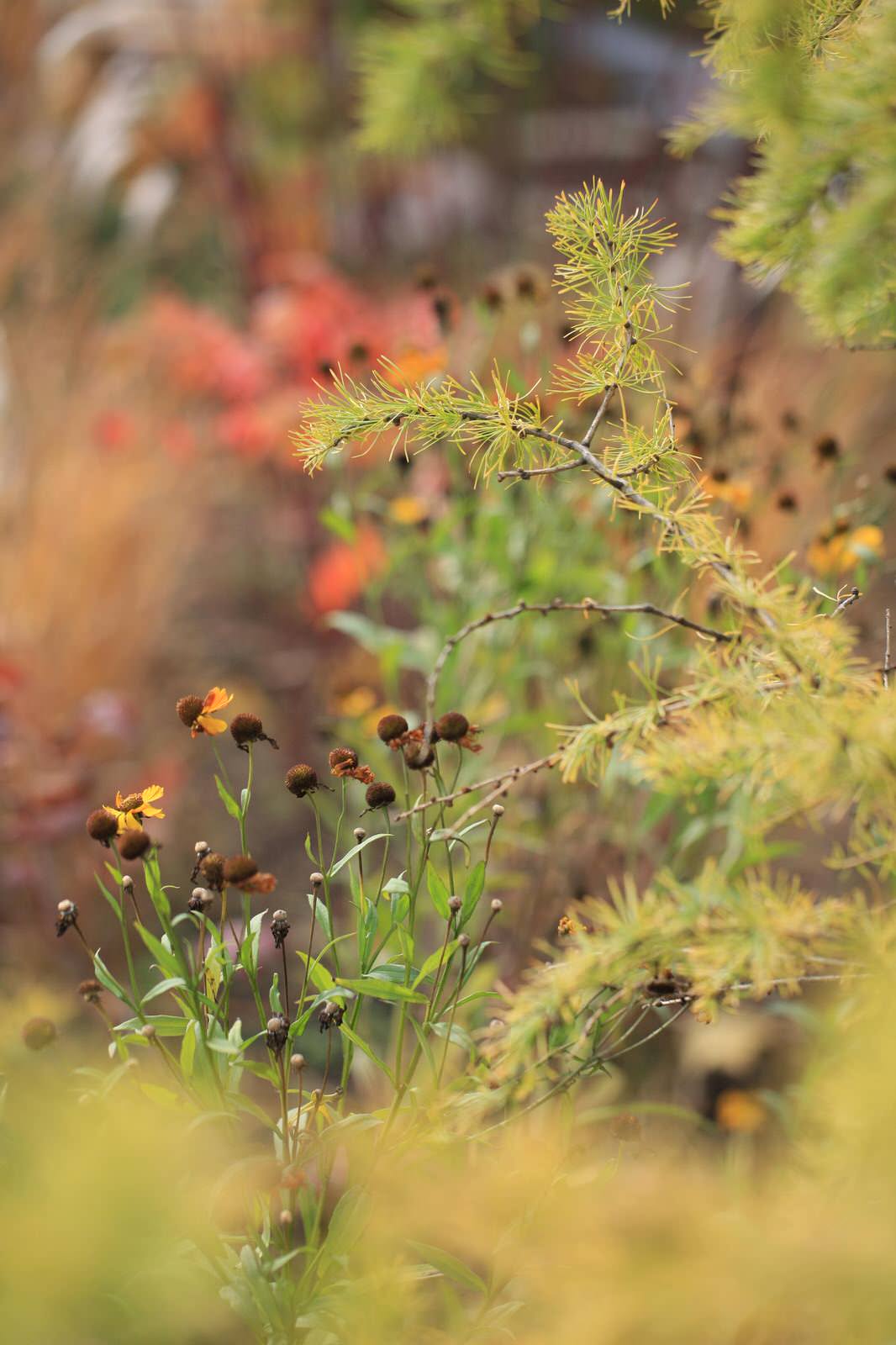 Обложка проекта: Алексеевка