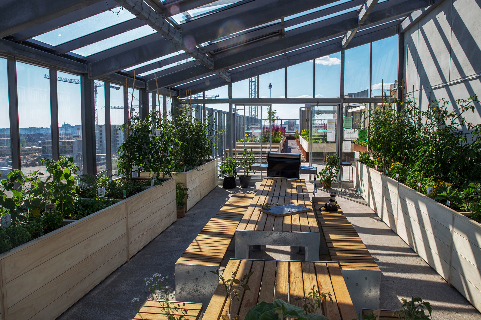 Обложка проекта: Сада на крыше в Хельсинки, Финляндия Автор Taina Suonio