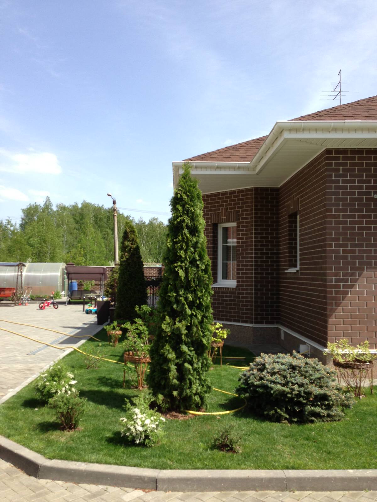 Вавиловец 1