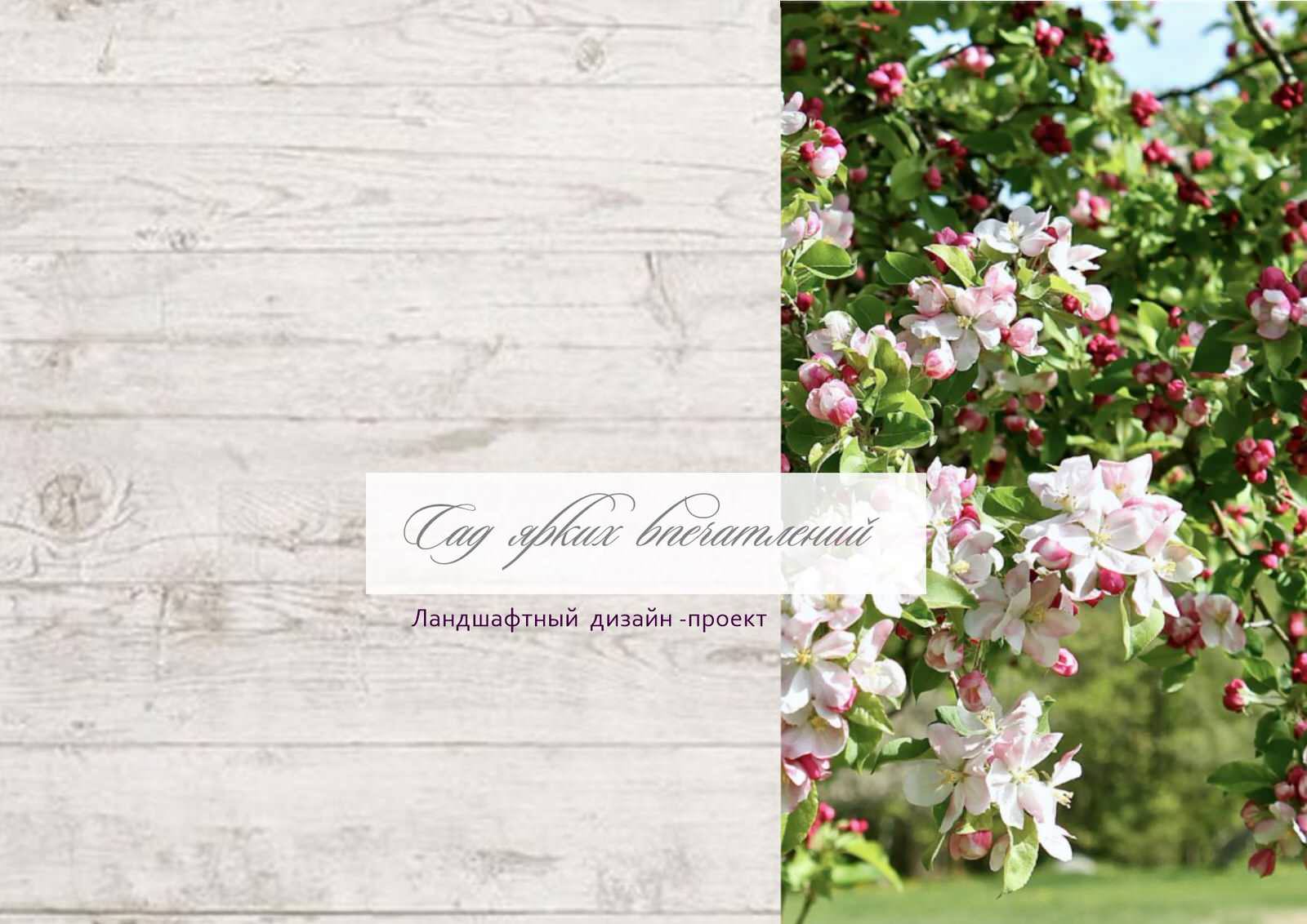 Обложка проекта: Сад ярких впечатлений