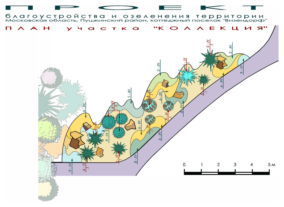 Проект участка 15 соток - план участка "Коллекция".