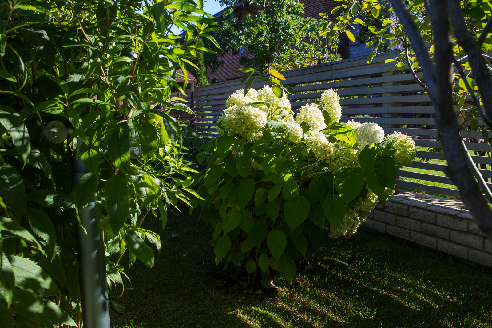 Сад на Пятницком шоссе.  Дизайнер Лариса Юрова