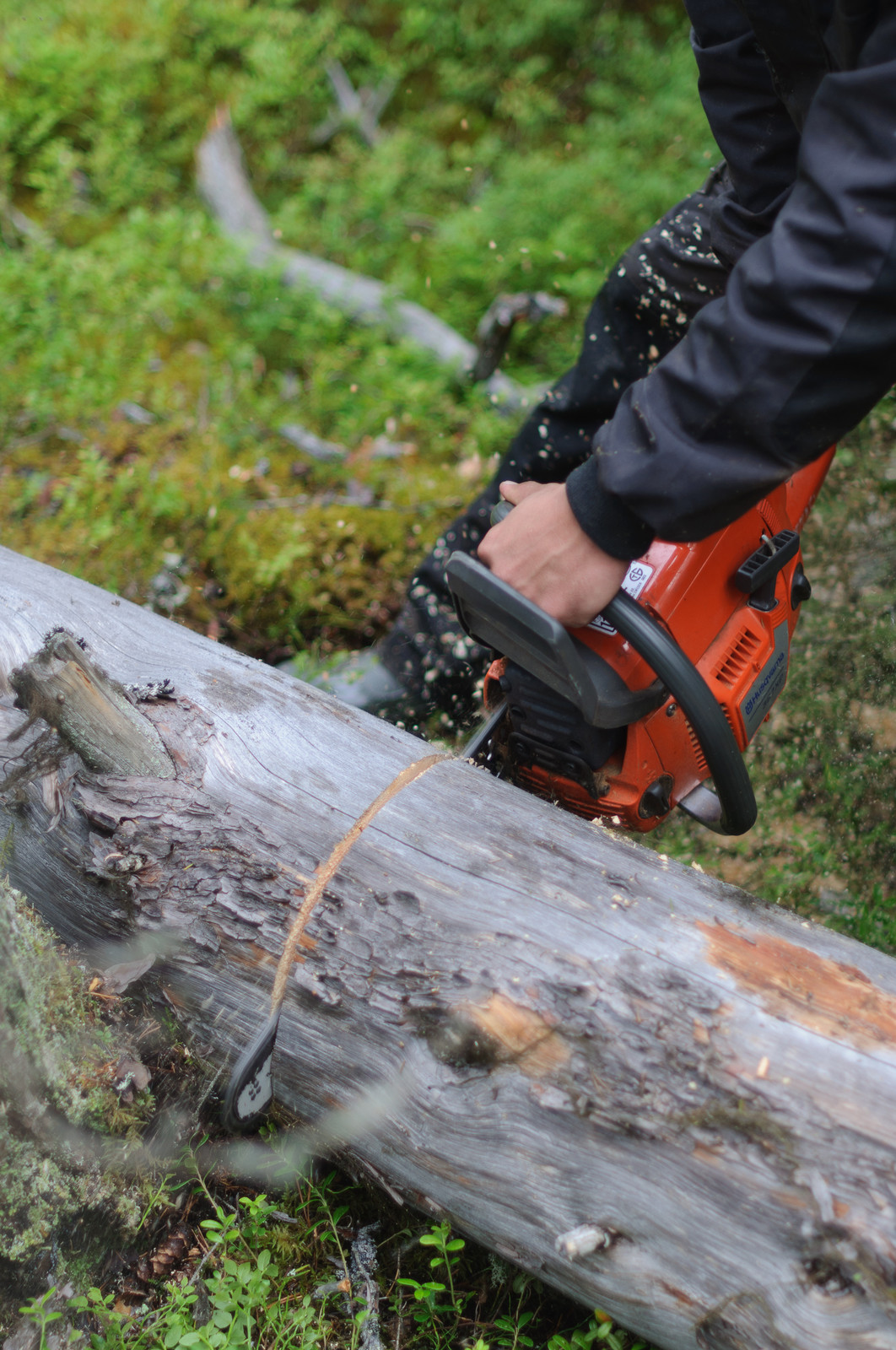 Производство и заготовка