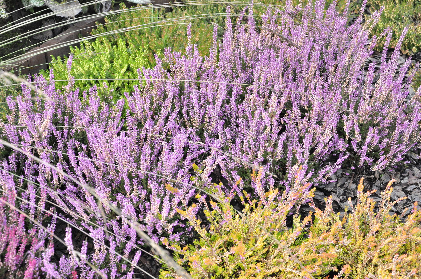 д. Коровино - Уход за садом - 100% качество