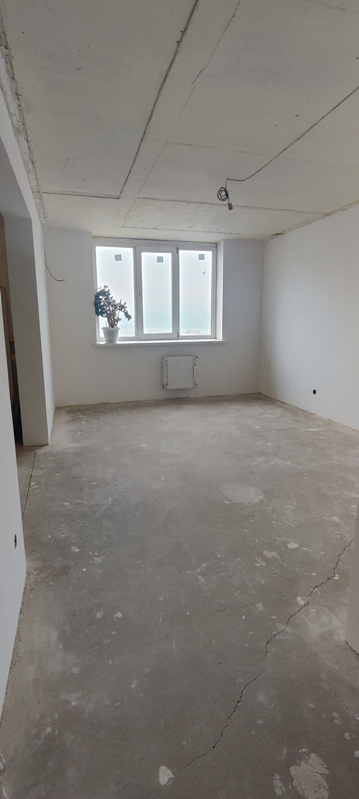 Обложка проекта: капитан