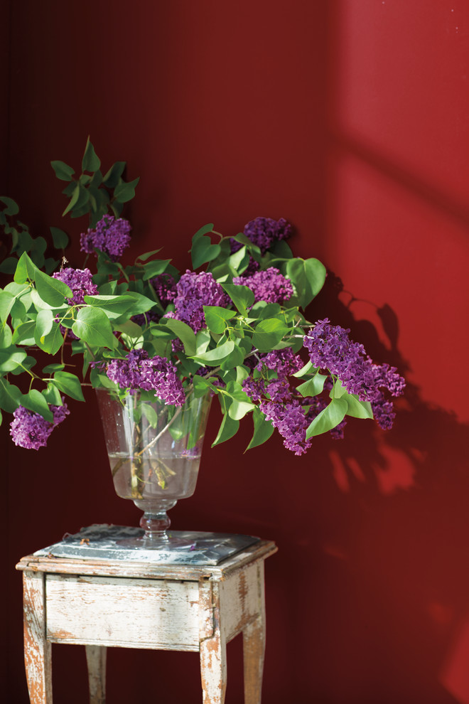 Цвет года 2018 (Caliente AF-290)