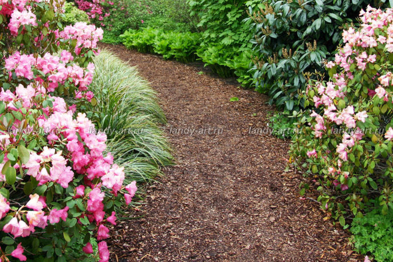 Обложка проекта: Использование сыпучих материалов в саду.