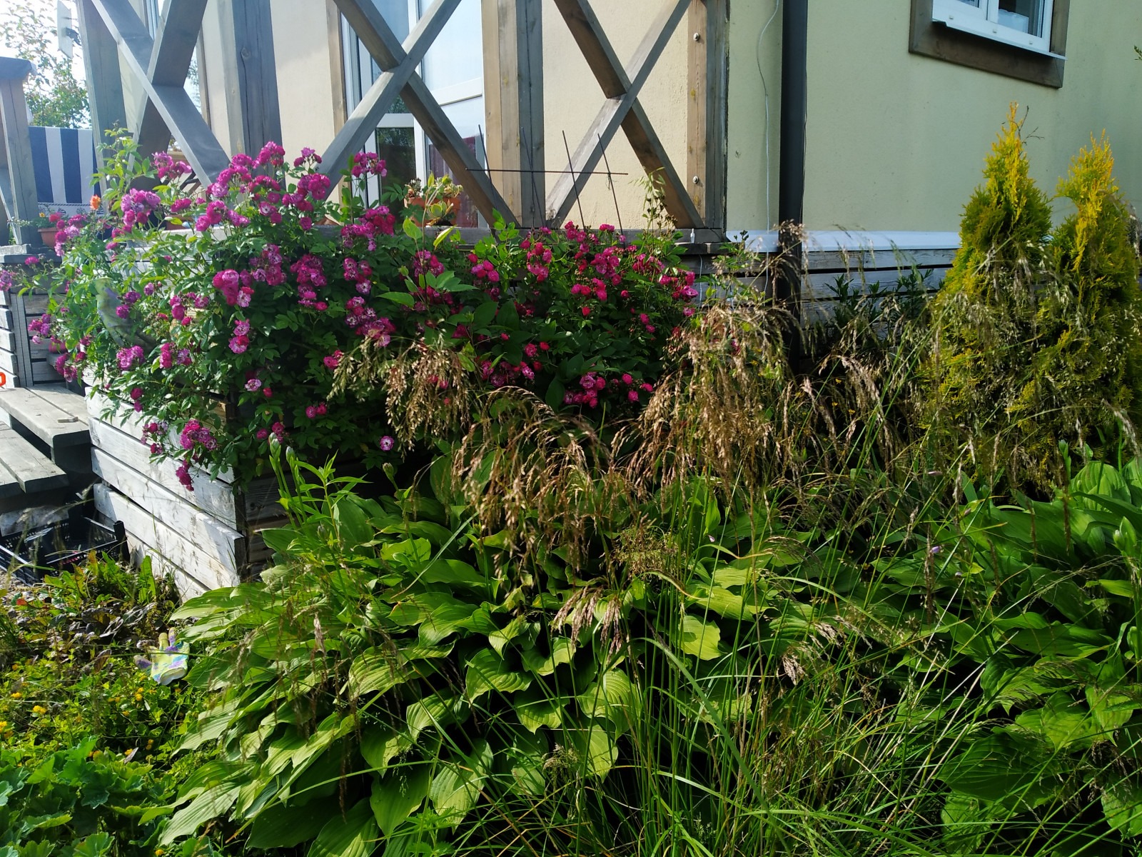 Обложка проекта: Дачный сад