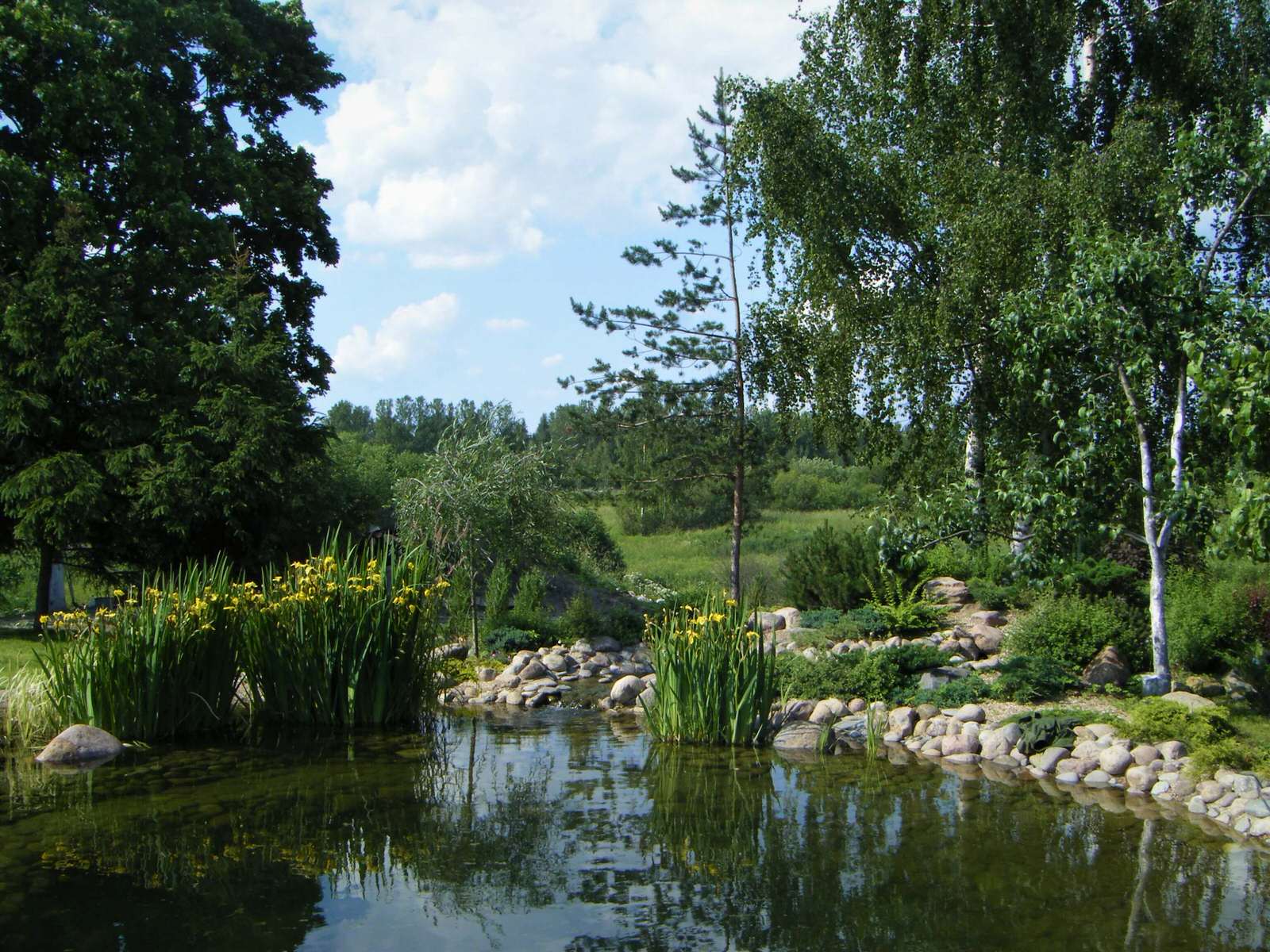 ЖИТЬ СВОБОДНО