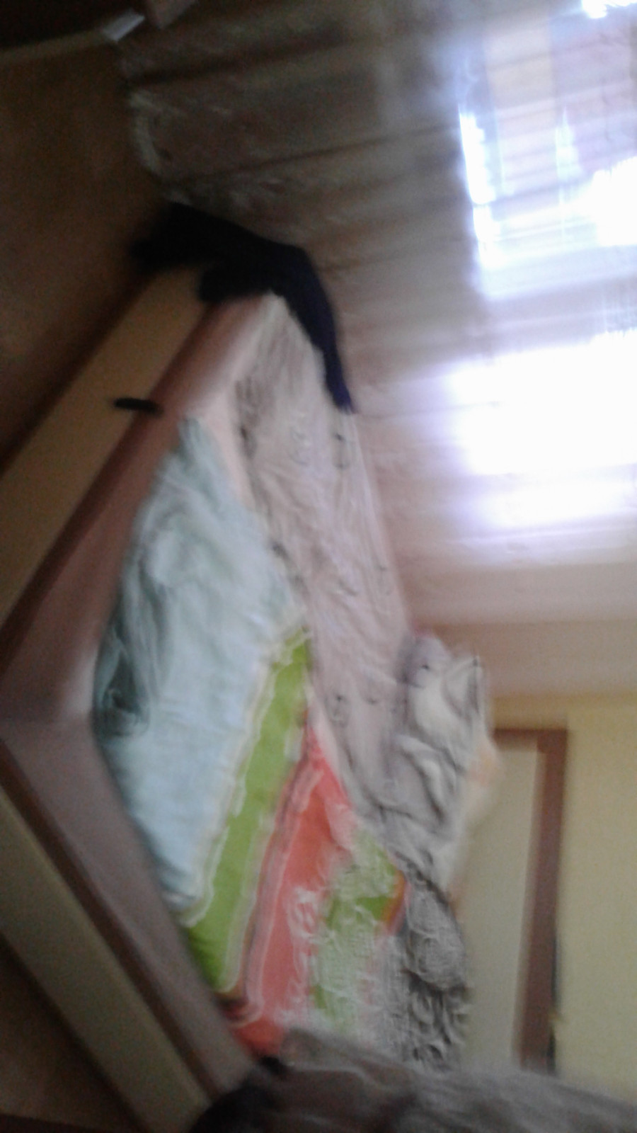 Обложка проекта: студия