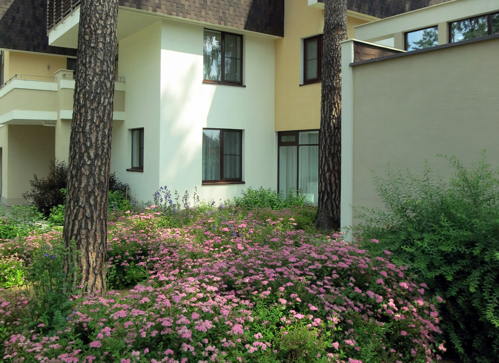 Маленький сад между большими соснами.