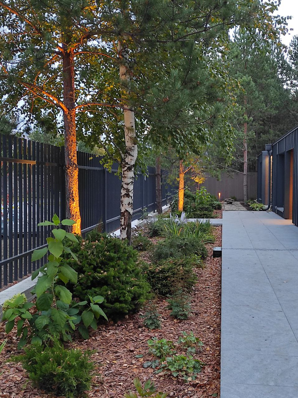 Лесной сад СветоТень Реализация