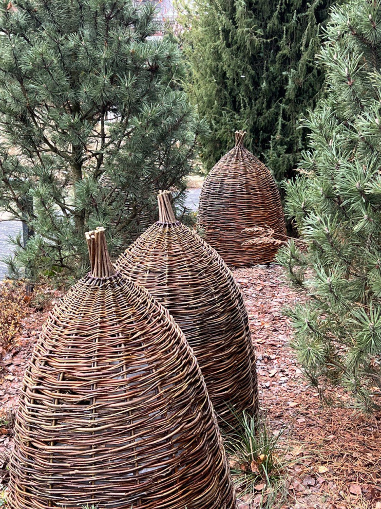 Английская история