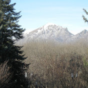 максим бесфамильный