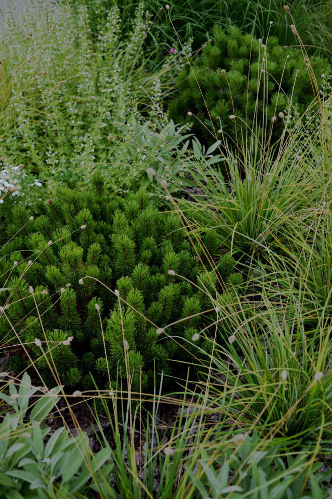 Сад с видом на Волгу