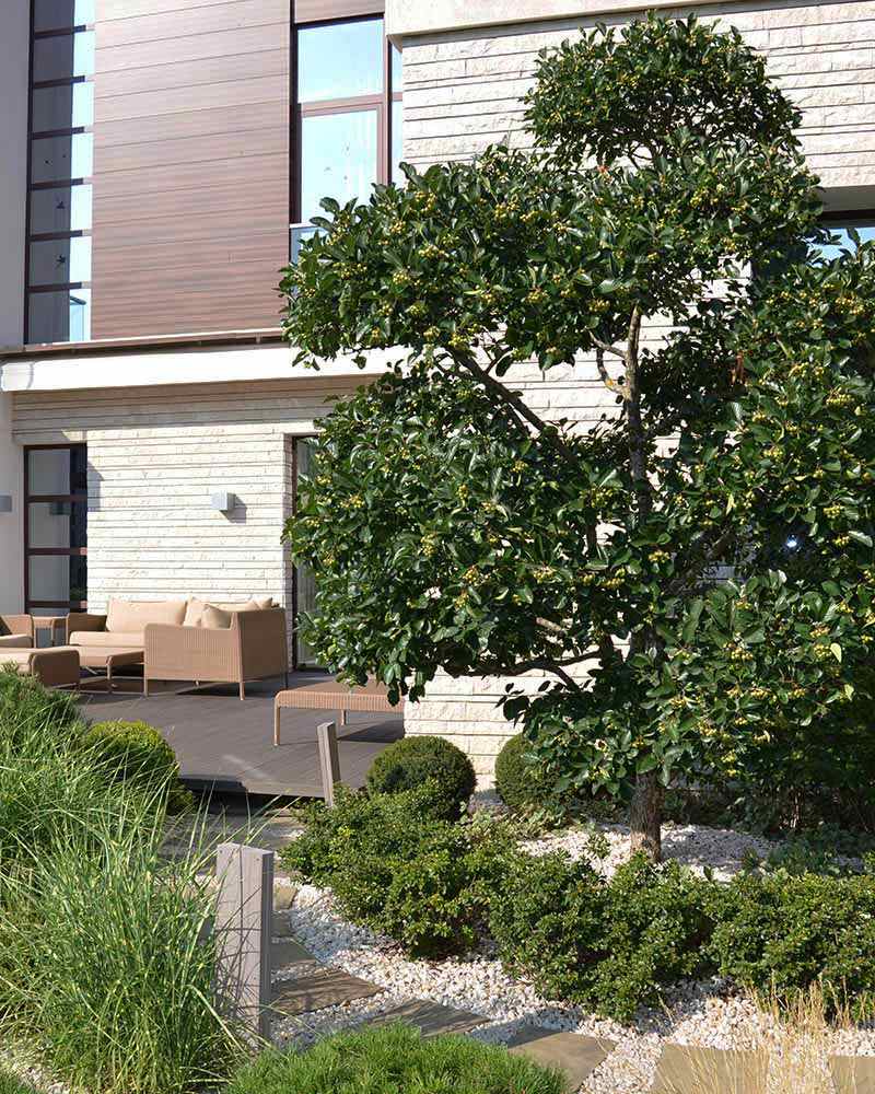 Современный сад в КП "Бенилюкс" вилла 2