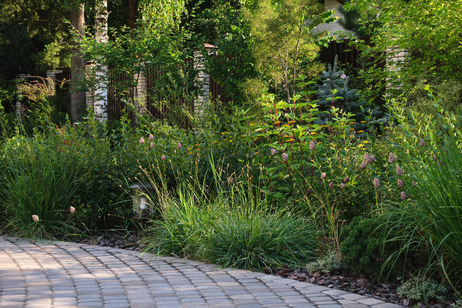 "Сад коллекционера" в Раменском районе Подмосковья