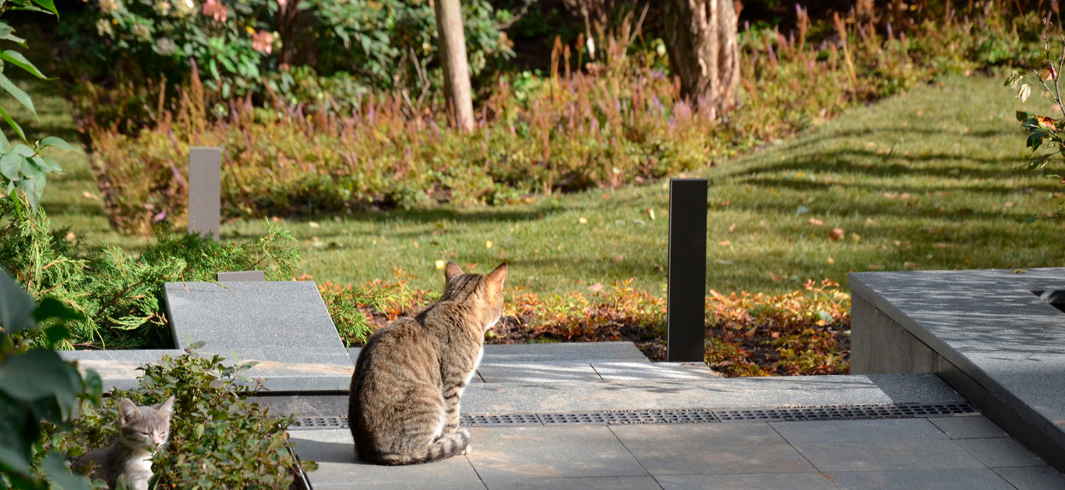 Сад пять уровней комфорта