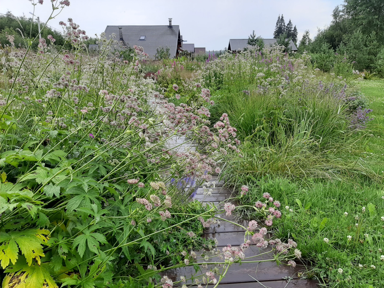 Сад "Три плюс два"