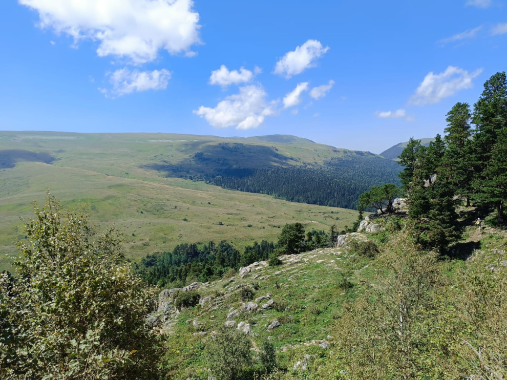 Мишель Виниченко